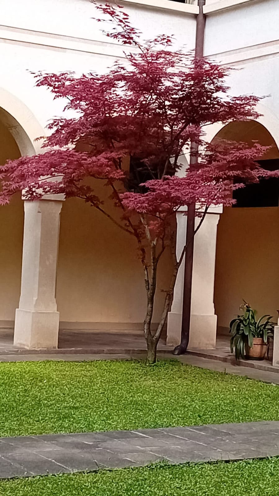 Il chiostro